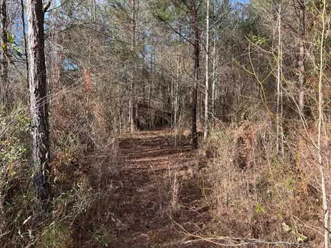 198 Walt Culpepper Rd, Laurel, MS 39443 photo 4
