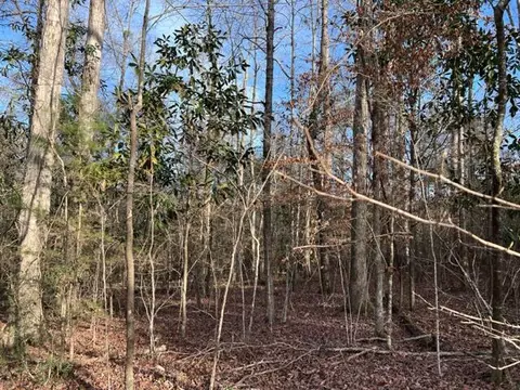 198 Walt Culpepper Rd, Laurel, MS 39443 photo 5