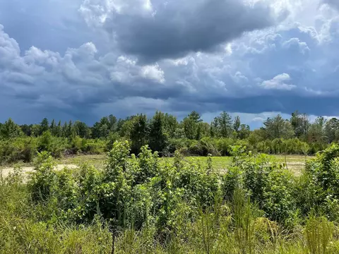 lot2 River Rd, Columbia, MS 39429