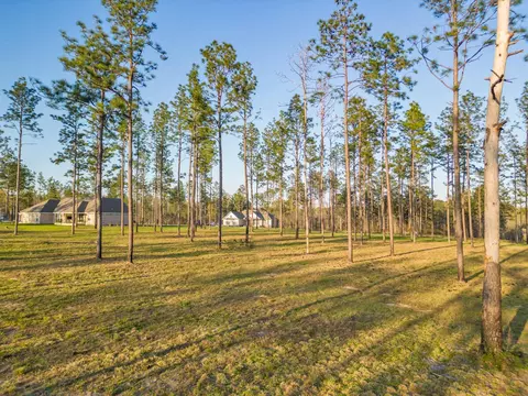 7 Mcbriar, Purvis, MS 39475 photo 4