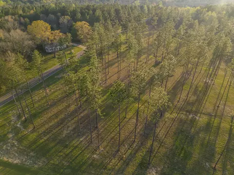 7 Mcbriar, Purvis, MS 39475 photo 5
