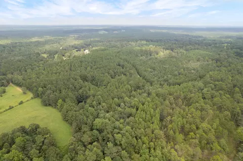 12 Acres Edna Beach Rd, Poplarville, MS 39470