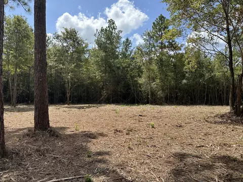 151 Burger Rd, Petal, MS 39465 photo 8