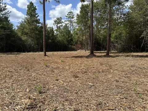 151 Burger Rd, Petal, MS 39465 photo 6