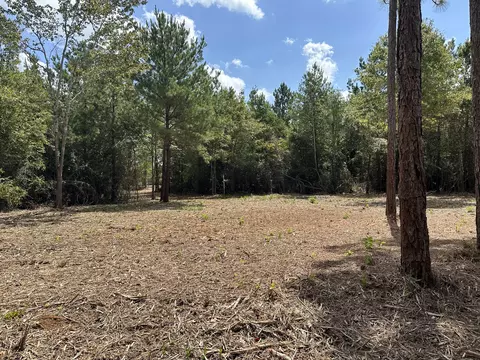 151 Burger Rd, Petal, MS 39465 photo 7
