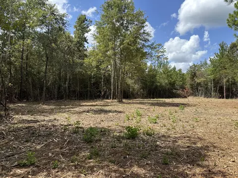 151 Burger Rd, Petal, MS 39465 photo 5