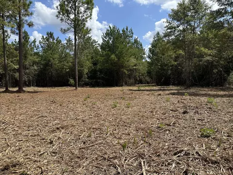 151 Burger Rd, Petal, MS 39465 photo 9