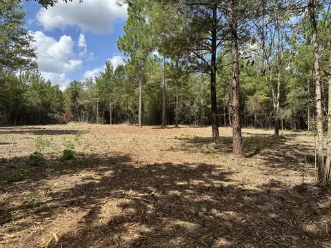 151 Burger Rd, Petal, MS 39465 photo 4