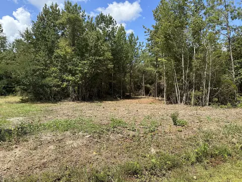 151 Burger Rd, Petal, MS 39465