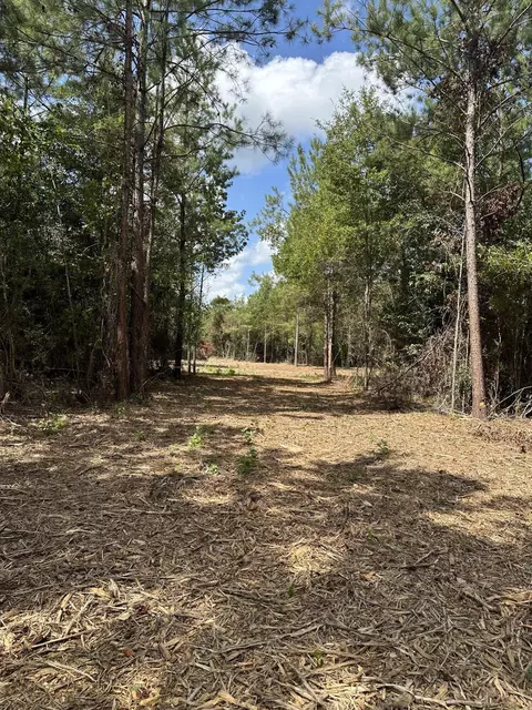 151 Burger Rd, Petal, MS 39465 photo 3