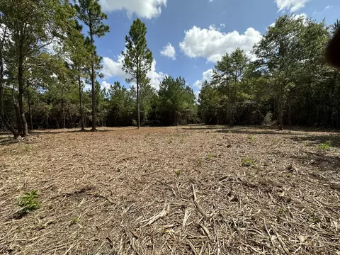 151 Burger Rd, Petal, MS 39465 photo 10