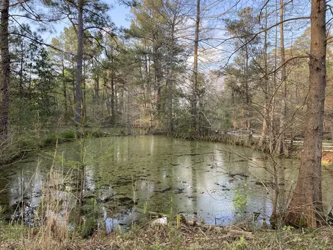 207 Old Hwy 35, Sandy Hook, MS 39478 photo 14