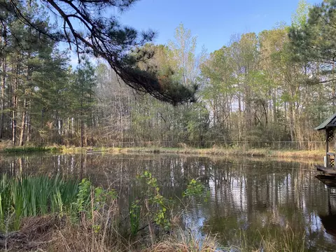 207 Old Hwy 35, Sandy Hook, MS 39478 photo 7