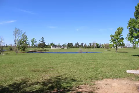 24 Cothren Rd, Collins, MS 39428 photo 50