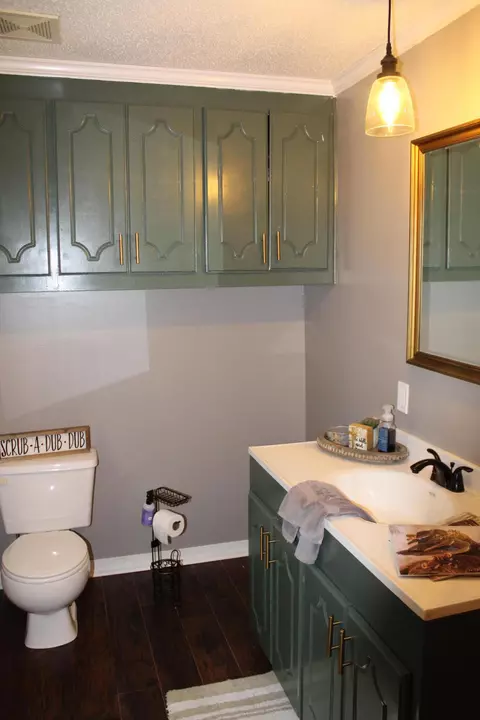 24 Cothren Rd, Collins, MS 39428 photo 31