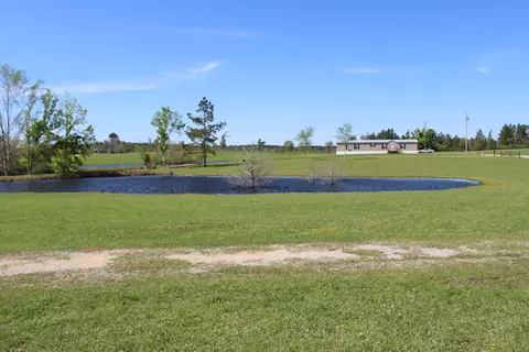 24 Cothren Rd, Collins, MS 39428 photo 56