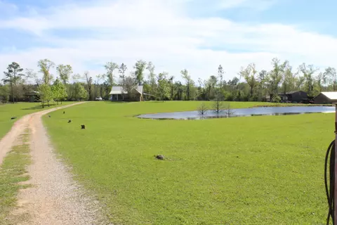 24 Cothren Rd, Collins, MS 39428 photo 55