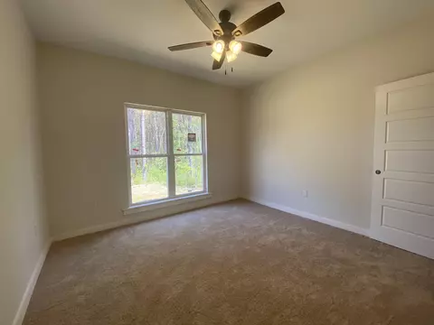 13 Brunswick Pt, Sumrall, MS 39482 photo 12