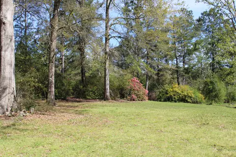2471 Ms-532, Collins, MS 39428 photo 7