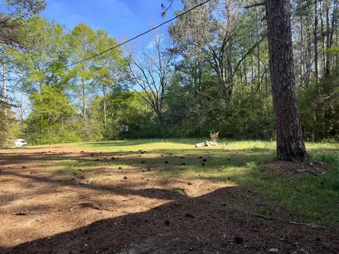 4237 Hwy 589, Sumrall, MS 39482 photo 4