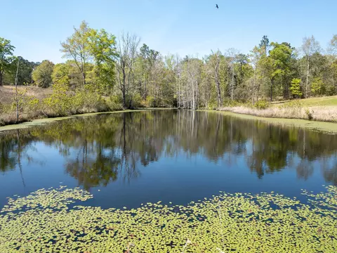 24 Tatum Camp Rd, Hattiesburg, MS 39402