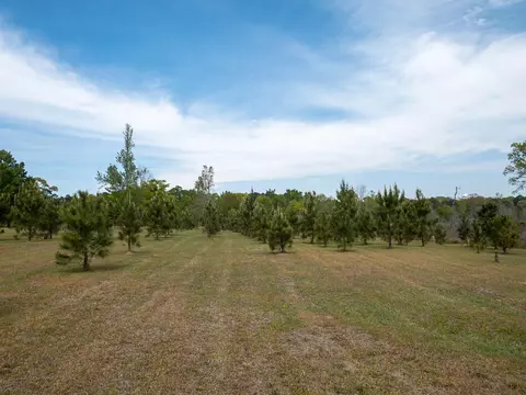 6 Ac Carter Cir, Purvis, MS 39475 photo 5