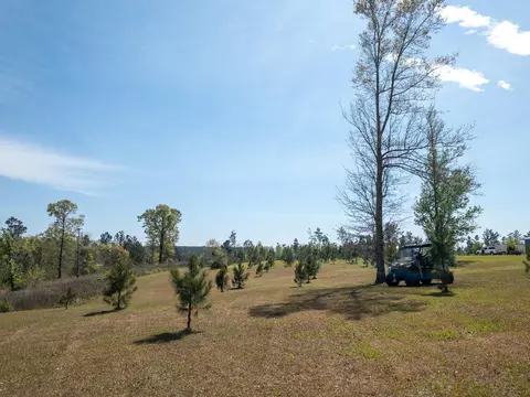 6 Ac Carter Cir, Purvis, MS 39475 photo 6