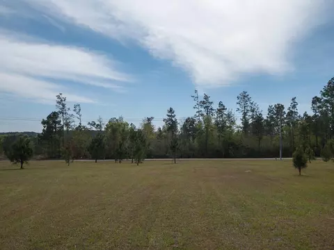 6 Ac Carter Cir, Purvis, MS 39475 photo 4