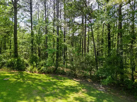 2947 Bee Tree Rd, Richton, MS 39476 photo 24