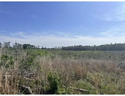 000 Us-84, Collins, MS 39428