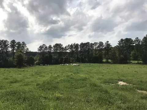 0 William Warren Rd, Collins, MS 39428 photo 4