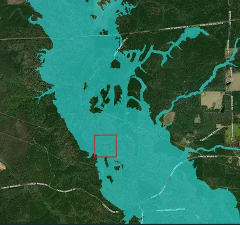 0 Fairley Bridge Rd, Wiggins, MS 39577 photo 2