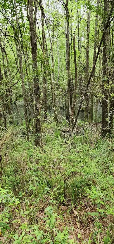 0 Benndale Rd, Brooklyn, MS 39425