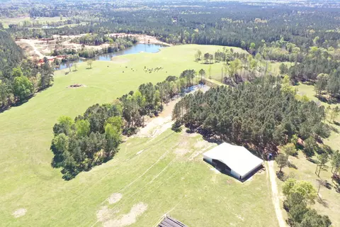 451 Carter Dees Rd, Taylorsville, MS 39168