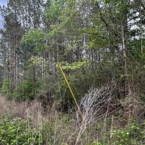 1020 Frank Carver, Magnolia, MS 39652