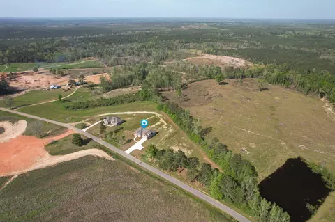 254 Higgins Rd, Sumrall, MS 39482 photo 50