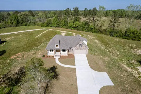 254 Higgins Rd, Sumrall, MS 39482 photo 5
