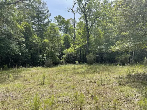 184 Kahl Rd, Brooklyn, MS 39425 photo 5