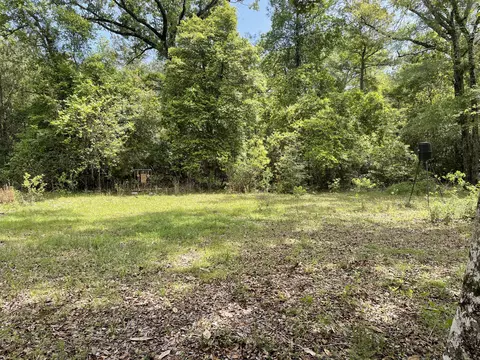184 Kahl Rd, Brooklyn, MS 39425 photo 10