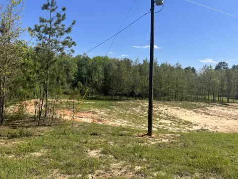 455 Cr 155, Stringer, MS 39481 photo 3