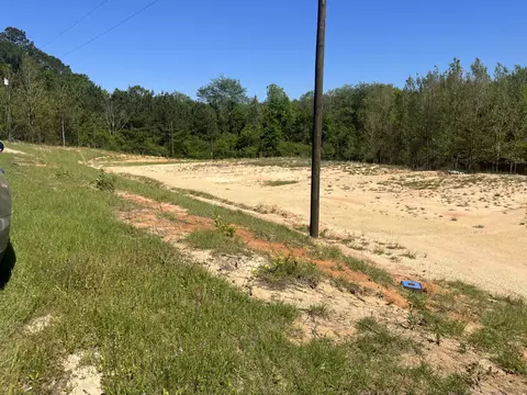 455 Cr 155, Stringer, MS 39481 photo 2