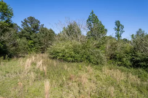 0 Pine View Rd, Collins, MS 39428 photo 9