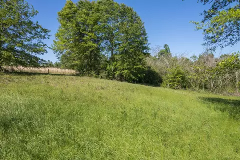 0 Pine View Rd, Collins, MS 39428 photo 12