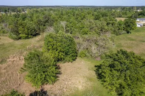 0 Pine View Rd, Collins, MS 39428 photo 22