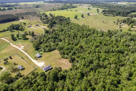 0 Pine View Rd, Collins, MS 39428 photo 4