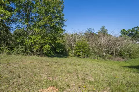 0 Pine View Rd, Collins, MS 39428 photo 13