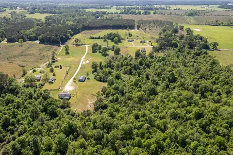 0 Pine View Rd, Collins, MS 39428 photo 18