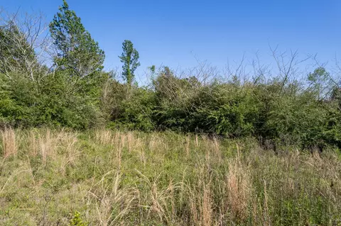 0 Pine View Rd, Collins, MS 39428 photo 8