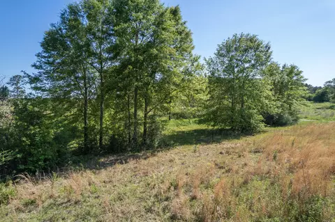 0 Pine View Rd, Collins, MS 39428 photo 10