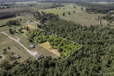 0 Pine View Rd, Collins, MS 39428 photo 3